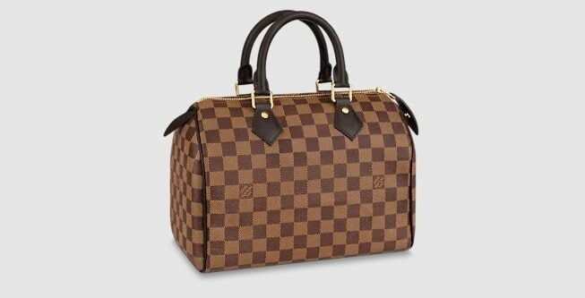 Louis Vuitton Damier Ebene Speedy 25