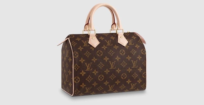 Louis Vuitton Monogram Speedy 25