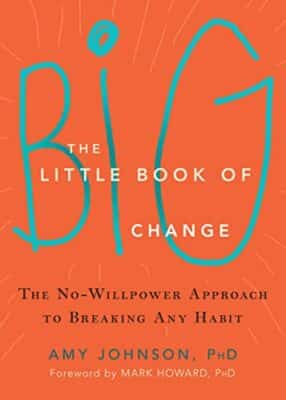 The Little Book of Big Change by Amy Johnson and Mark Howard