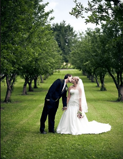 Wedding in an apple orchard